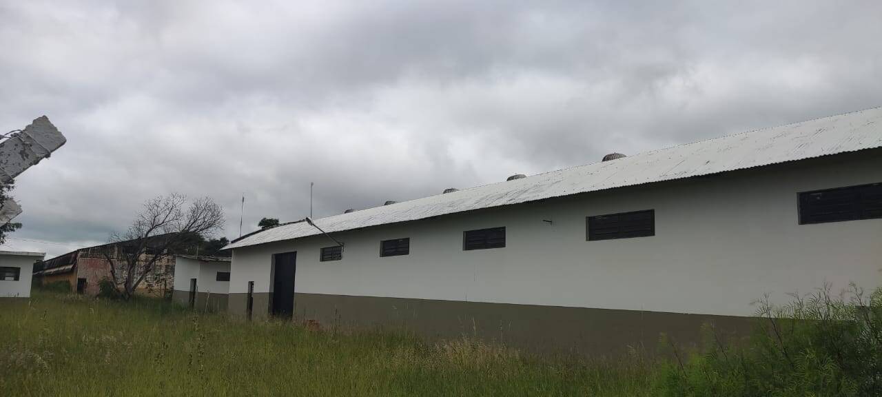 Sala-Conjunto, 1000 m² - Foto 4