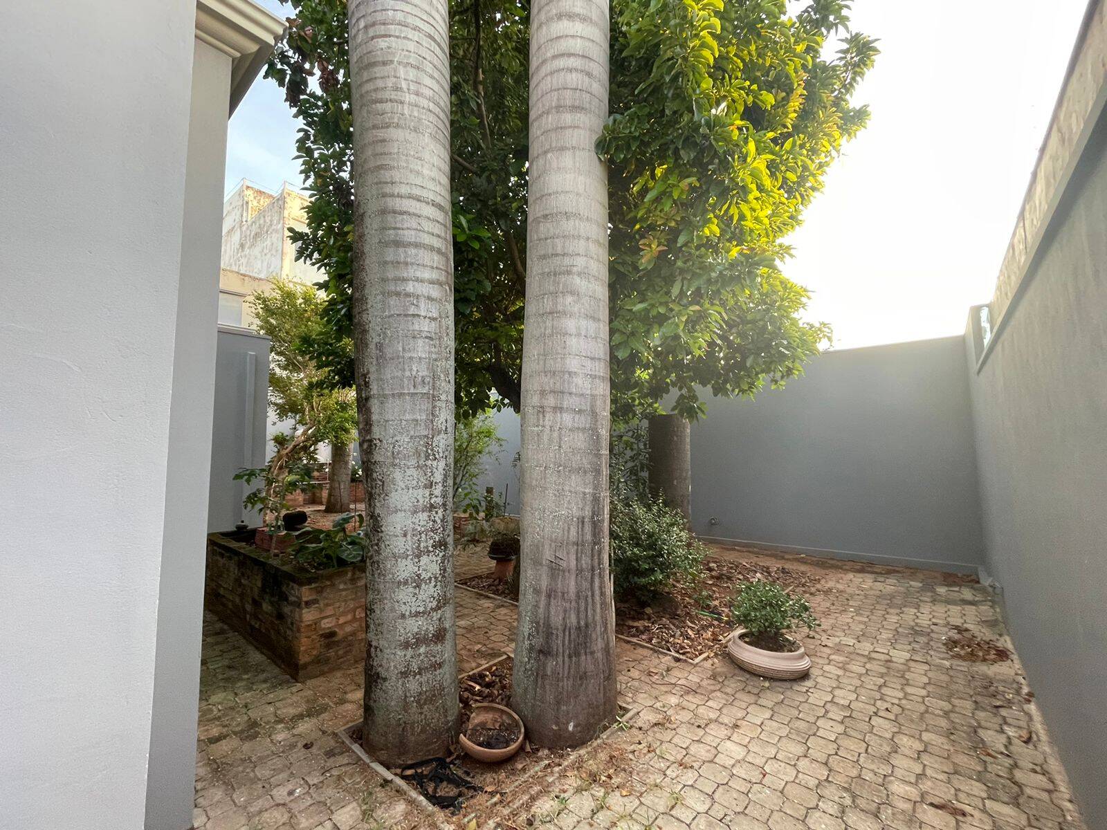 Casa, 5 quartos, 329 m² - Foto 25