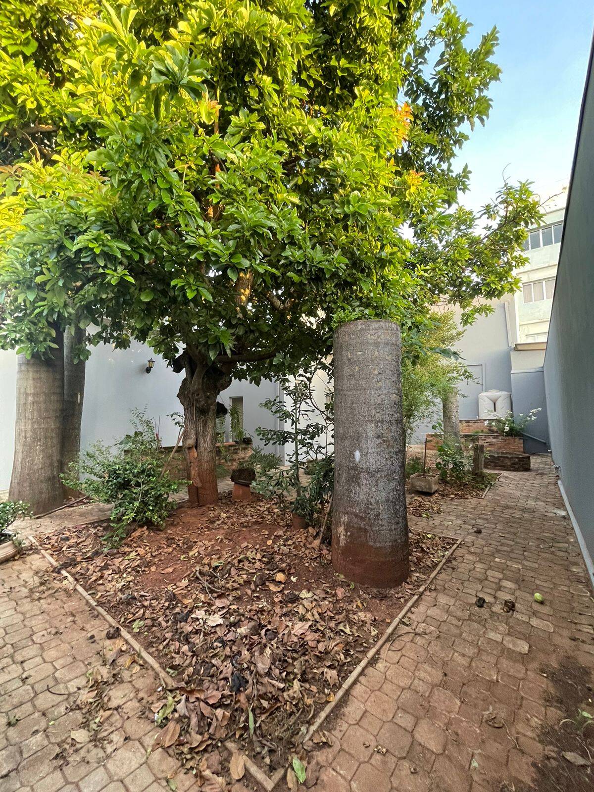 Casa, 5 quartos, 329 m² - Foto 28