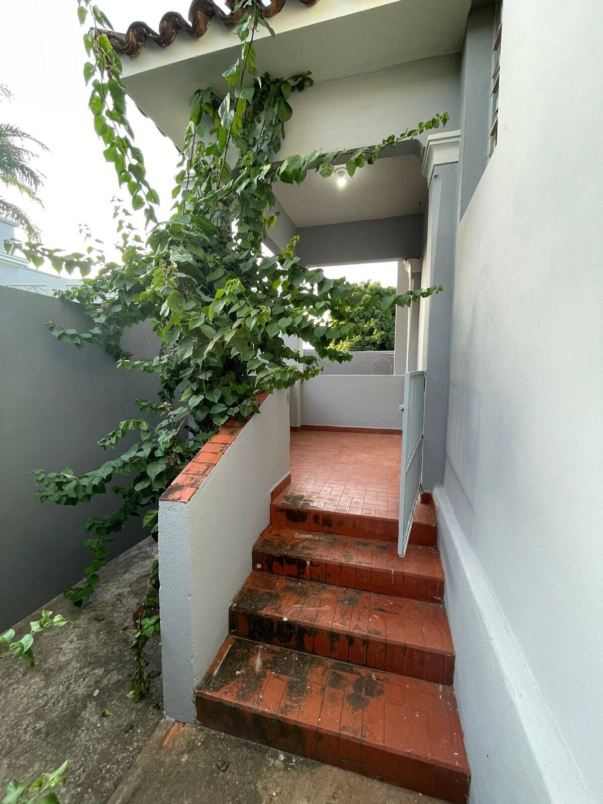 Casa, 5 quartos, 329 m² - Foto 47