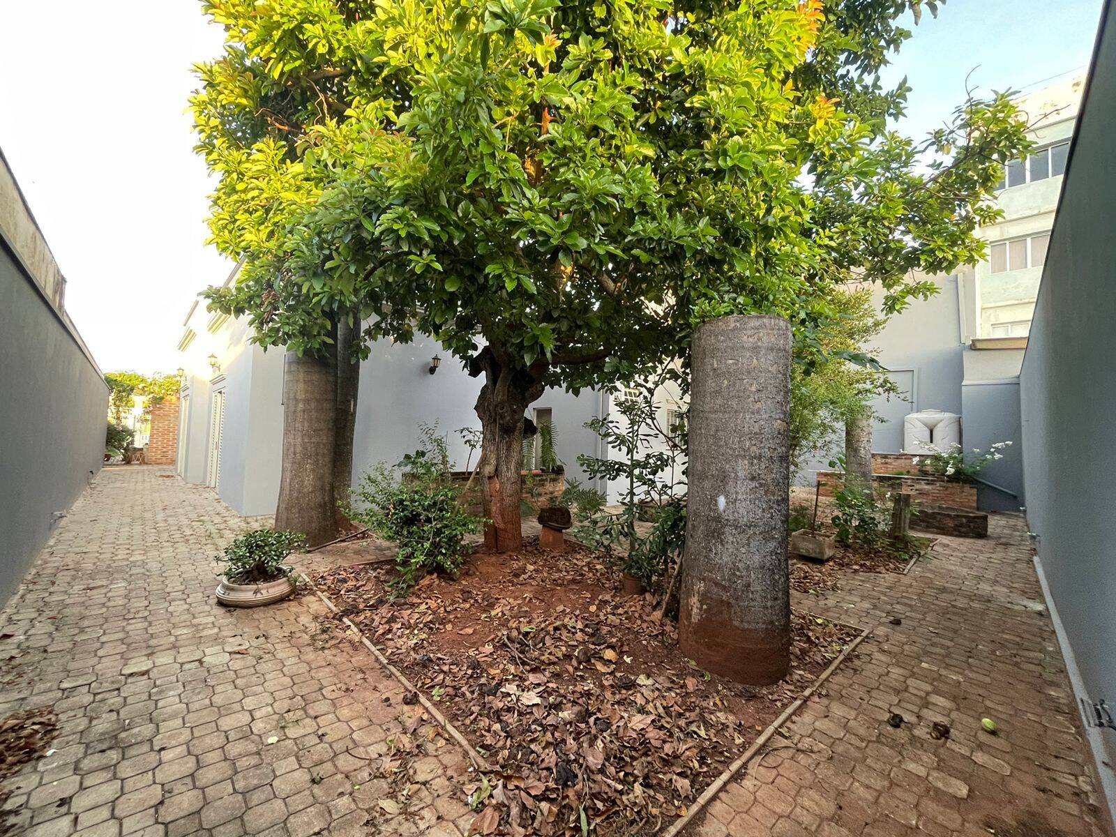 Casa, 3 quartos, 200 m² - Foto 18