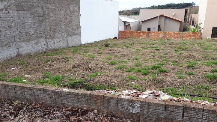 Terreno, 300 m² - Foto 2