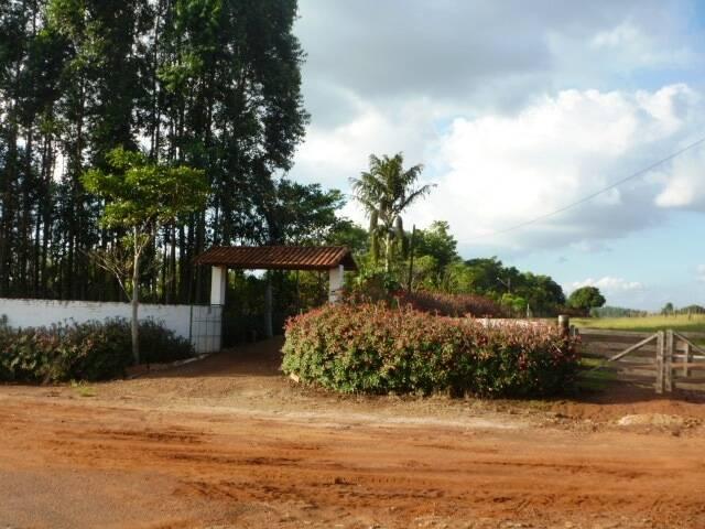 #34 - Chácara para Venda em Sarutaiá - SP - 2