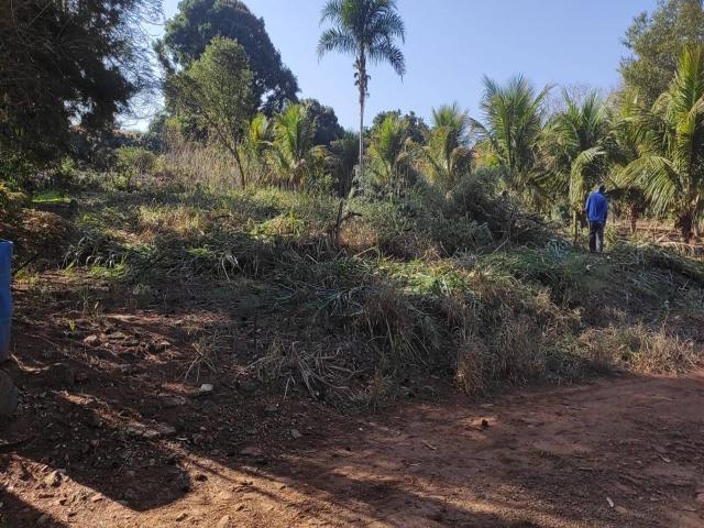 #533 - Chácara para Venda em Piraju - SP - 2