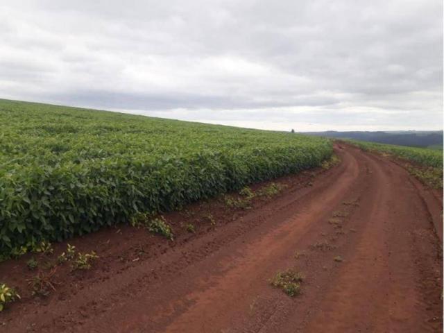 #601 - Fazenda para Venda em Piraju - SP