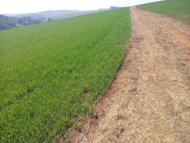 #602 - Fazenda para Venda em Tejupá - SP - 3