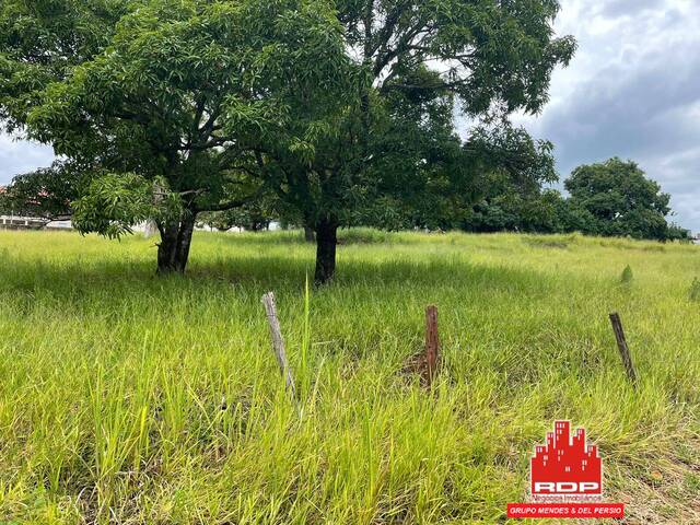 #615 - Área para Venda em Piraju - SP - 2