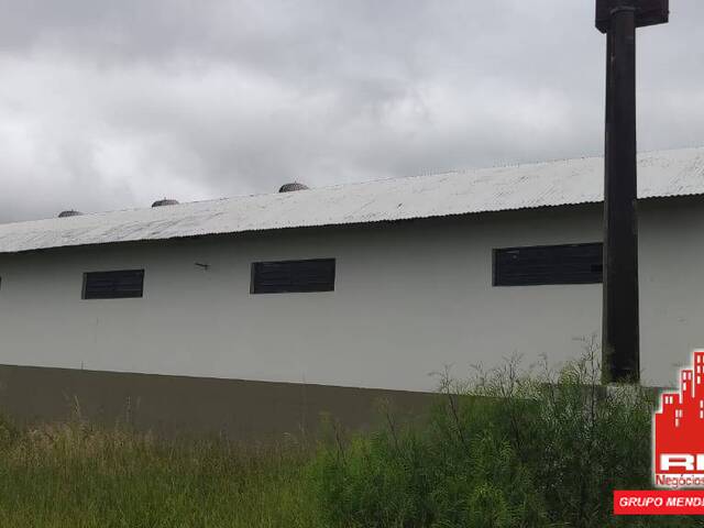 Sala para Venda em Piraju - 5