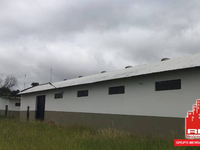 Sala para Venda em Piraju - 4