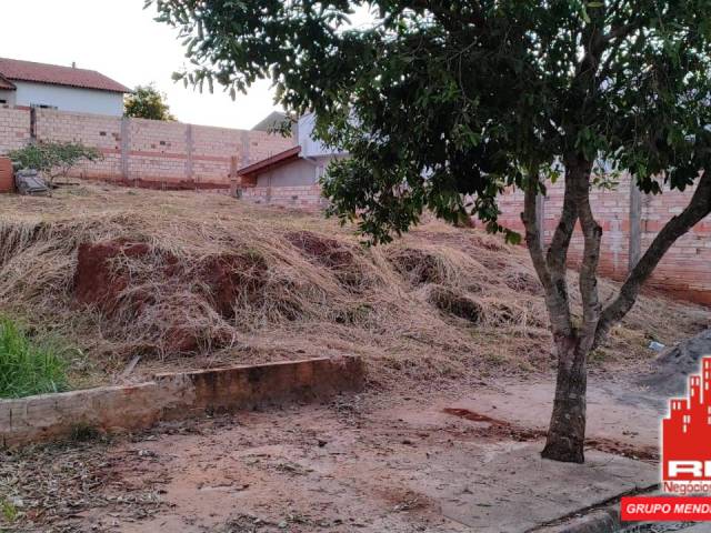 Área para Venda em Piraju - 5