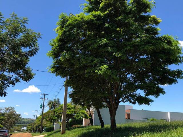 Área para Venda em Itaí - 4
