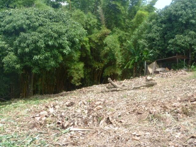 Casa para Venda em Piraju - 2