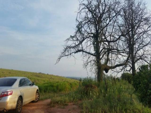 Chácara para Venda em Piraju - 5