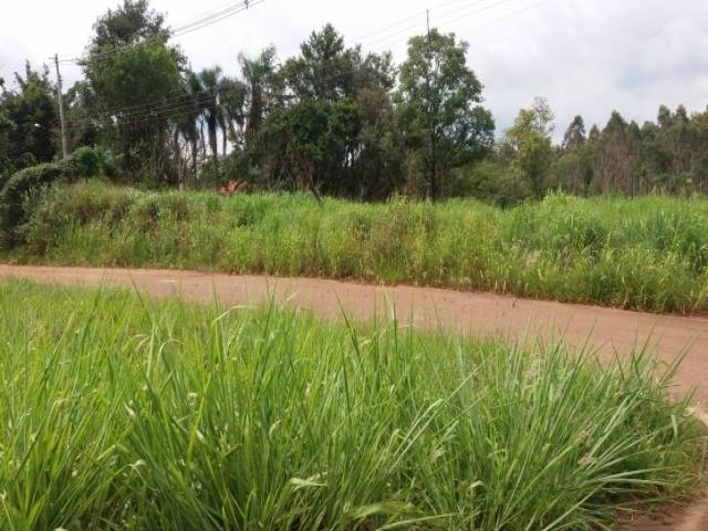 Chácara para Venda em Piraju - 4
