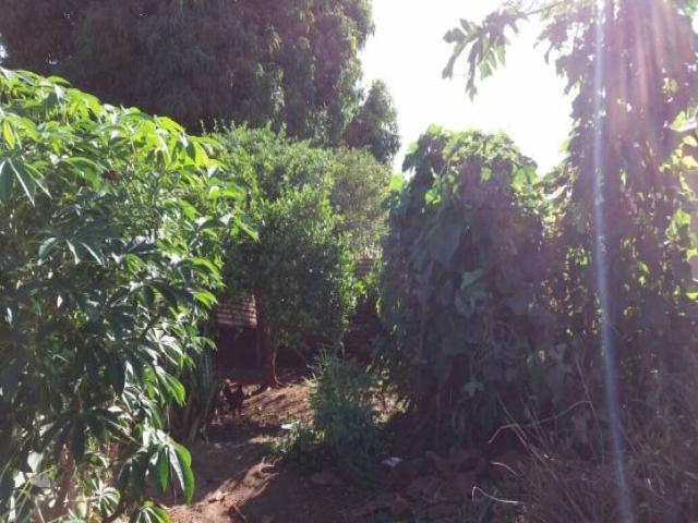 Área para Venda em Piraju - 4