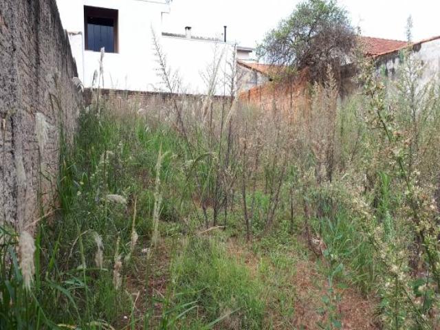 #282 - Área para Venda em Piraju - SP - 2