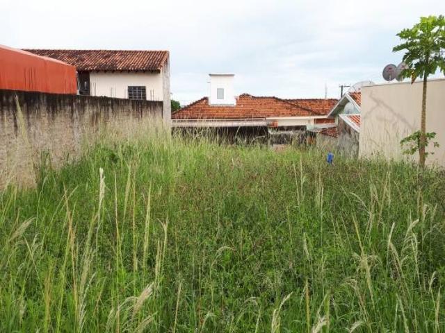 #288 - Área para Venda em Piraju - SP - 2