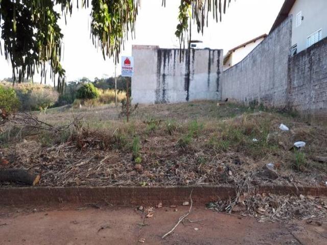 #360 - Área para Venda em Piraju - SP - 1